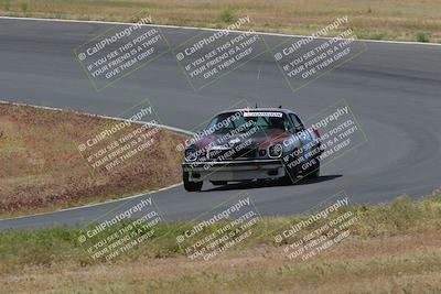 media/May-04-2024-Lucky Dog Racing (Sat) [[d39539b3f3]]/Race Pics/1015am (Turn 2)/